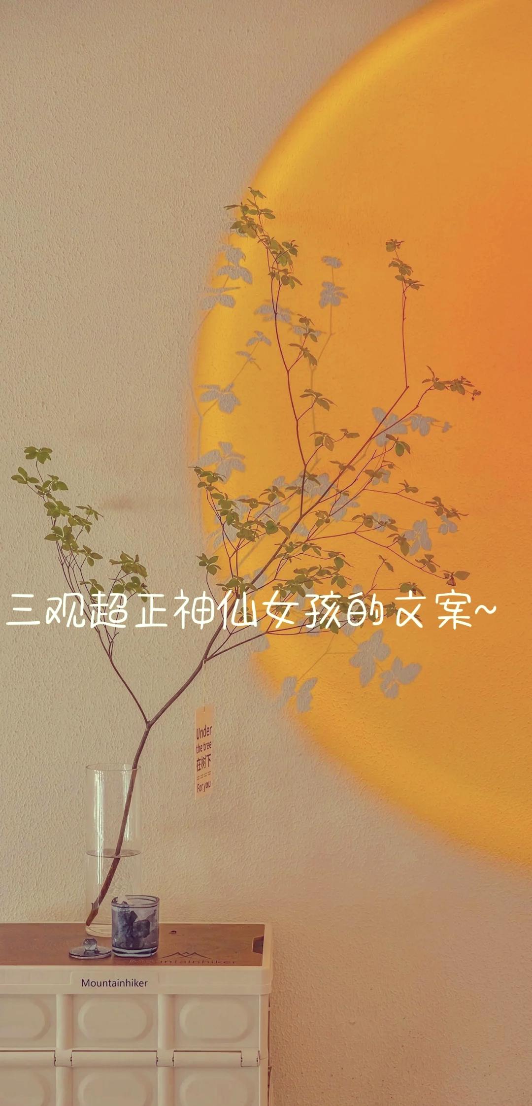 女生专属干净三观正文-夜163